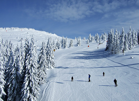 Dragiša Mladenović - Instruktor skijanja