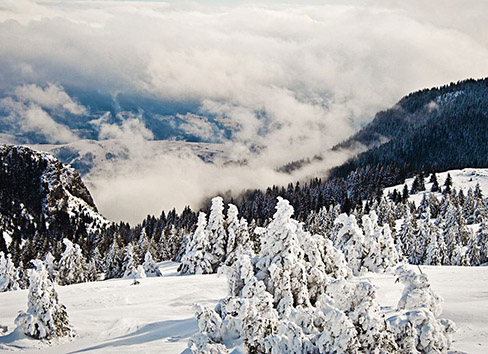 Ski instruktor Kopaonik